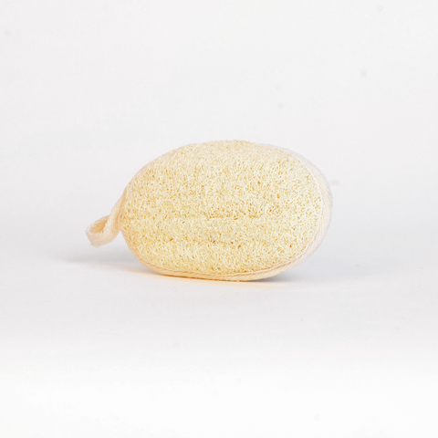 Natural loofah sponge on a white background
